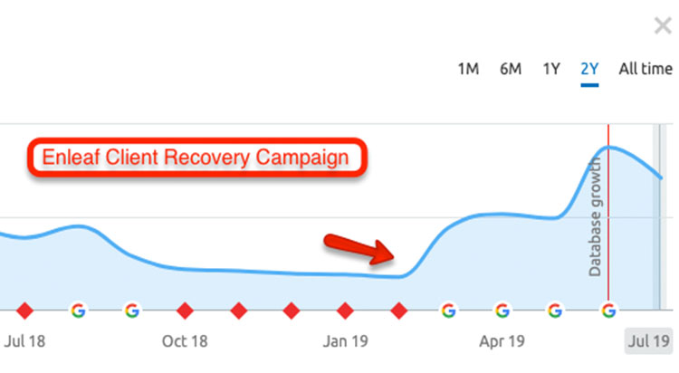 Google Updated Recovery SEO