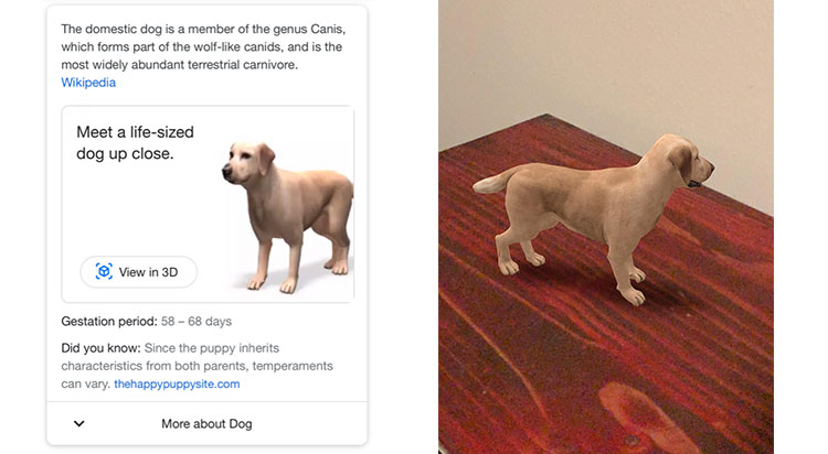 Google-Augmented Reality Examples