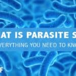 What is Parasite SEO