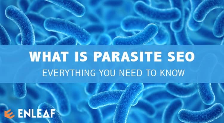 What is Parasite SEO